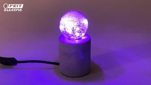 Twinkling LED Fairy Bottle Light Bulb