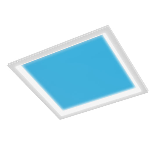 Vista 2 ft. x 2 ft. Flush Mount or Troffer Skylight Ceiling Light