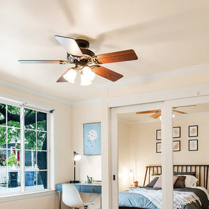 Ceiling Fan