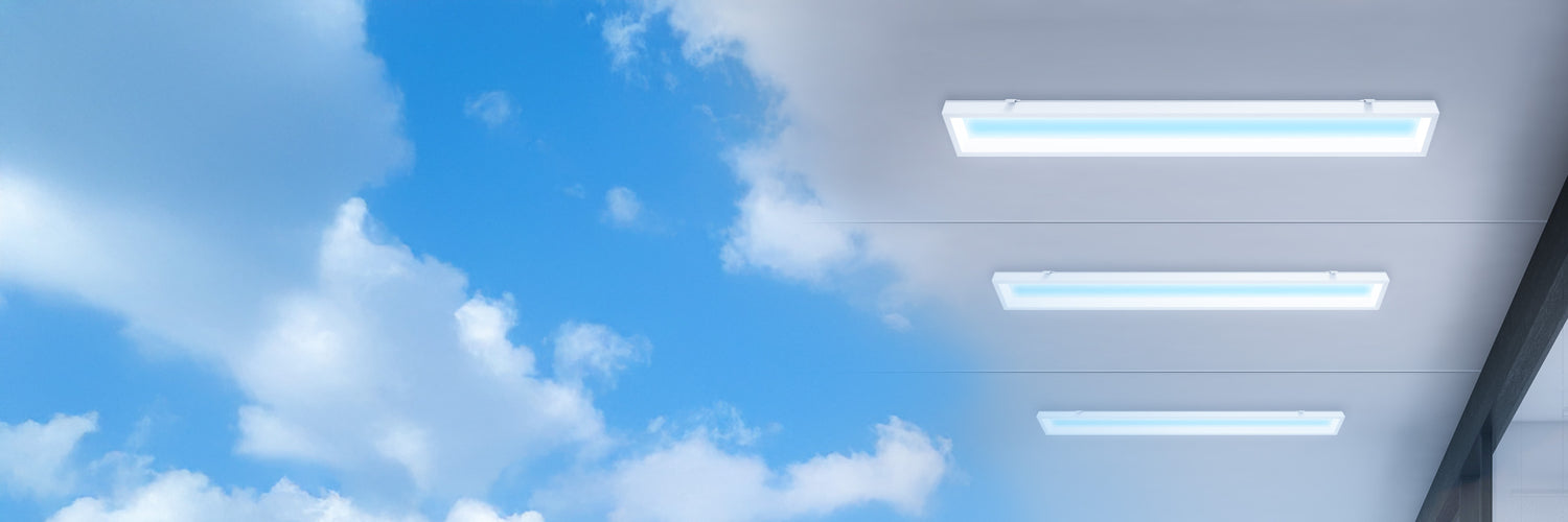 Skylight Light Fixture