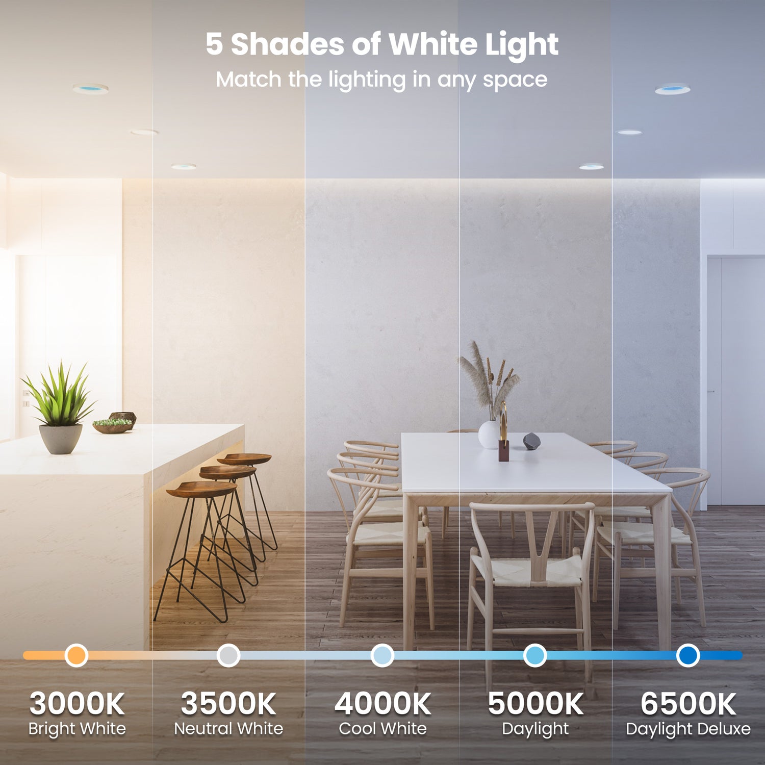 Vista 8-in Round Canless LED Skylight