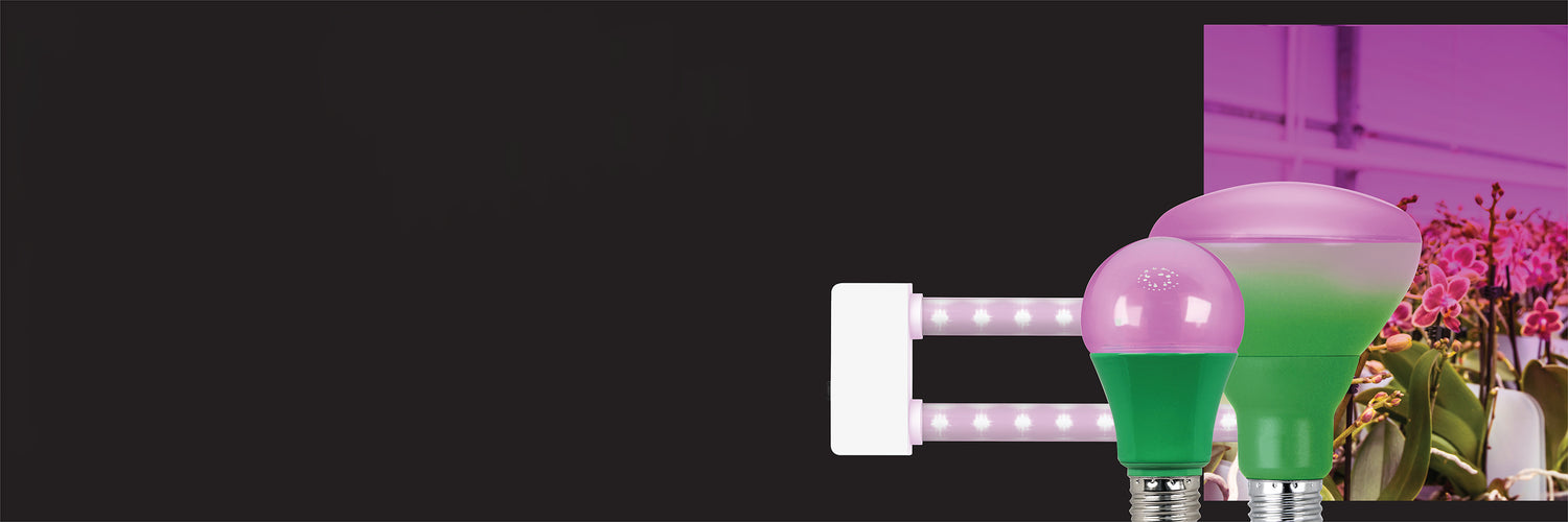 Grow Lights