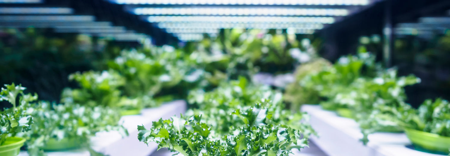 Grow Fixtures