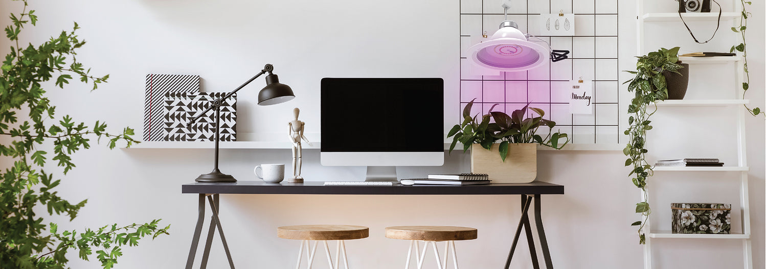 Grow Lights with Clamp