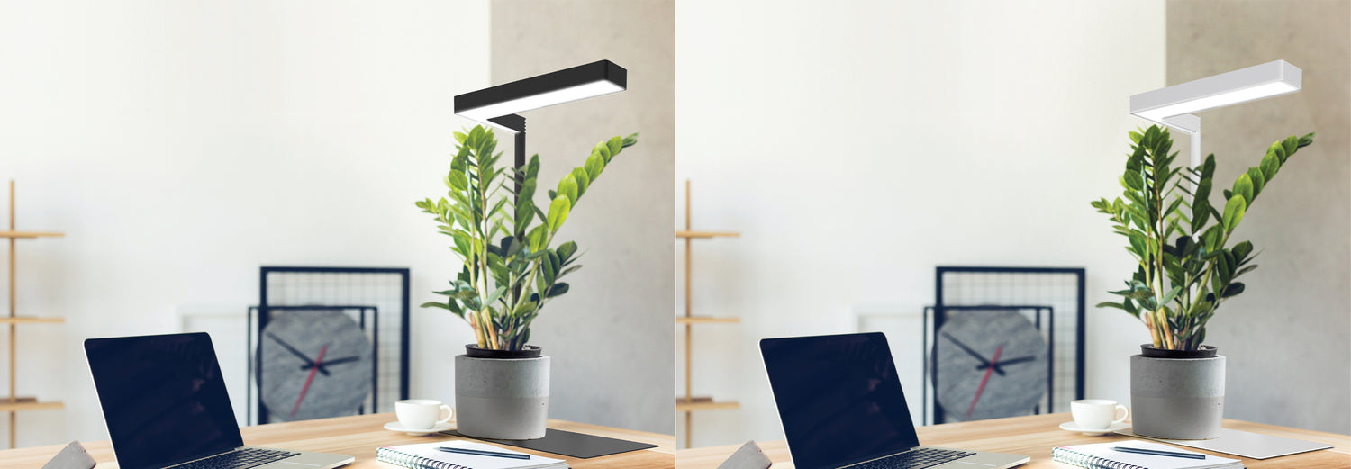 Tabletop Grow Lights
