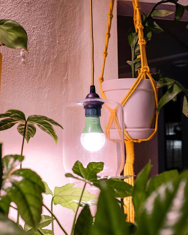 Feit Electric
