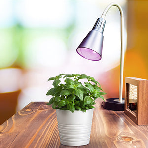Grow Lights