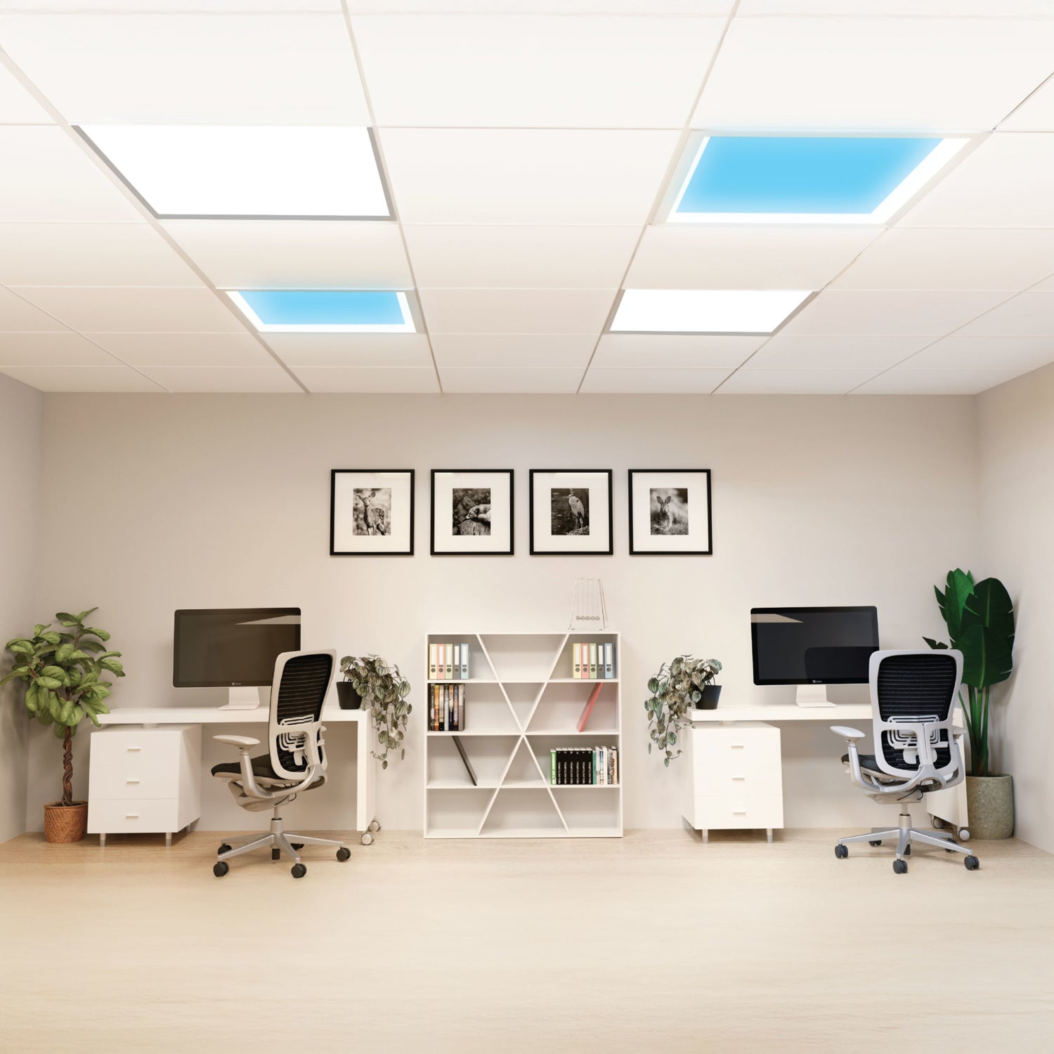 Vista 2 ft. x 2 ft. Flush Mount or Troffer Skylight Ceiling Light