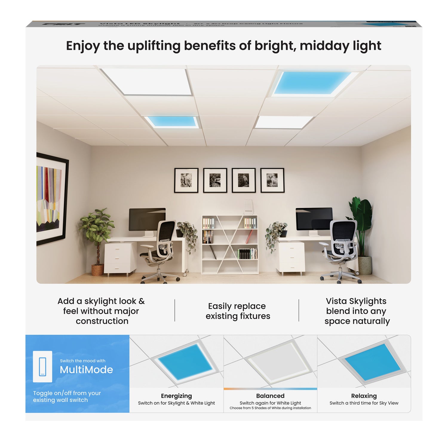 Vista 2 ft. x 2 ft. Flush Mount or Troffer Skylight Ceiling Light