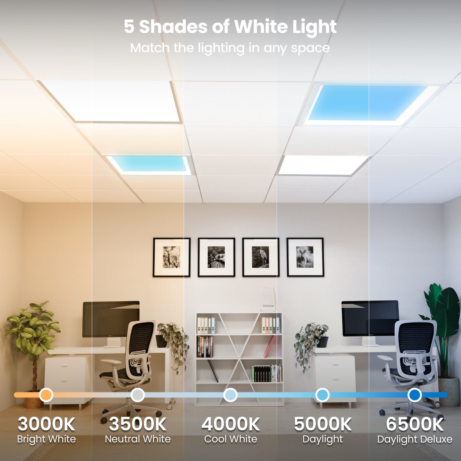 Vista 2 ft. x 2 ft. Flush Mount or Troffer Skylight Ceiling Light