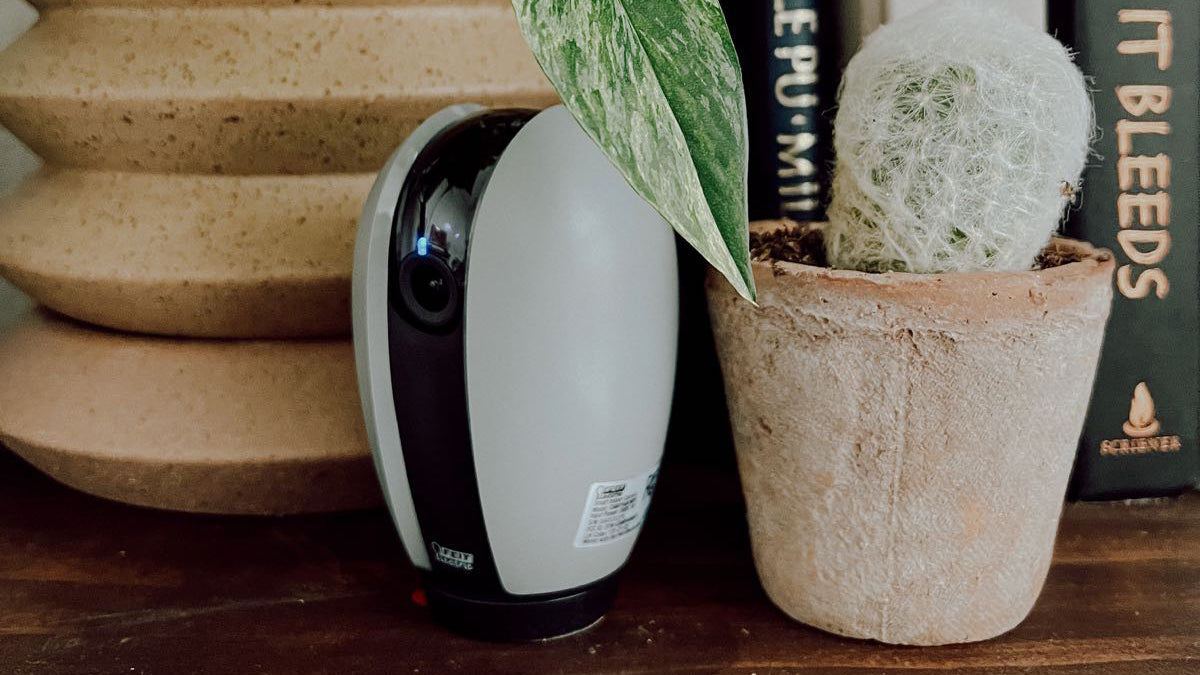 All Smart Cameras and Video Doorbells